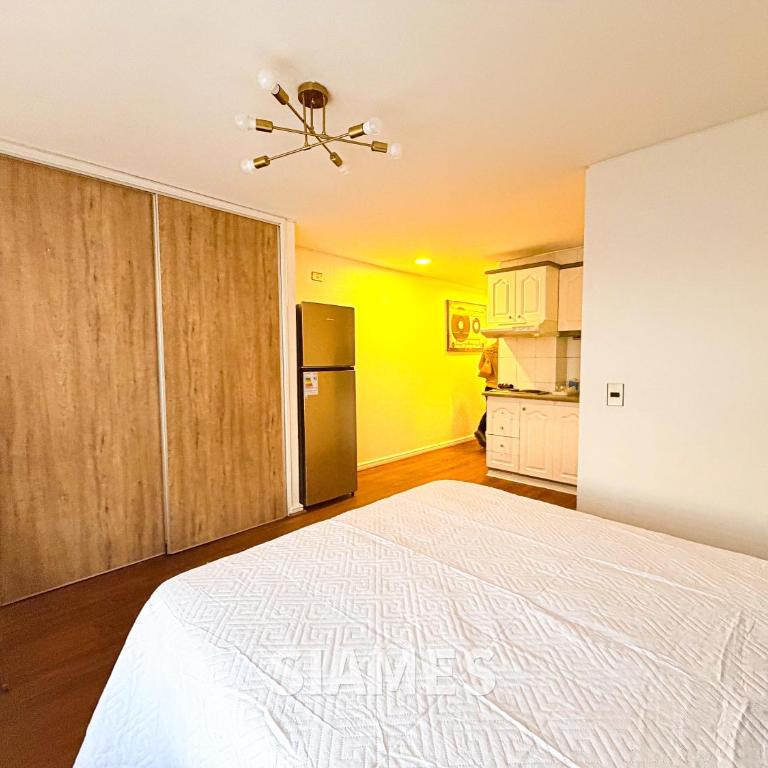 Metro Pedro Valdivia 150 - One-Bedroom Apartment - 10