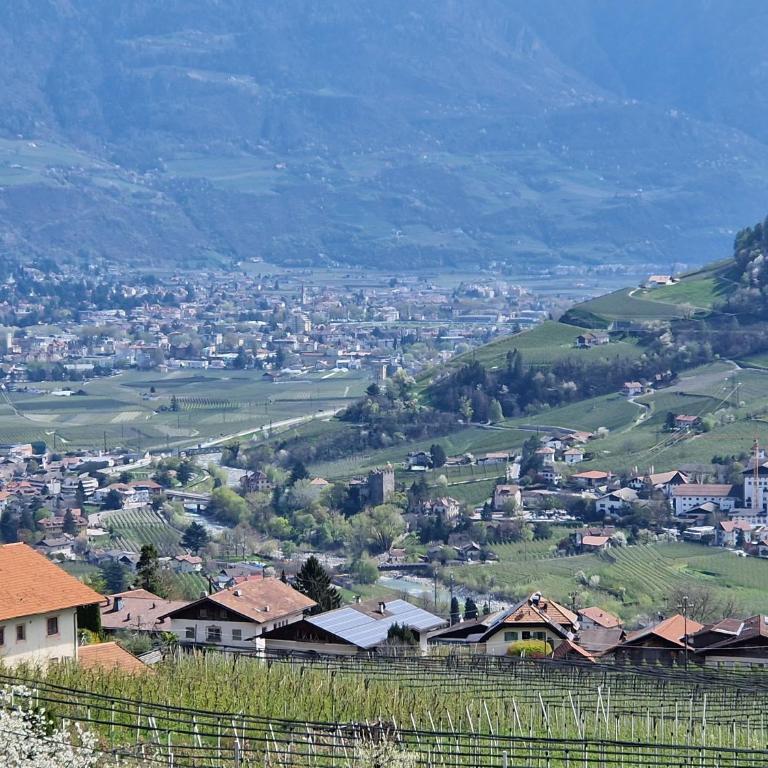 Rasnerhof Ferienwohnung Zielspitz - Appartamento Superior con 1 Camera da Letto e Balcone - 10
