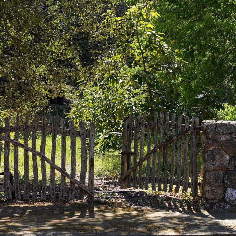 Casa Porqueres - Villa con vistas al jardín - 27