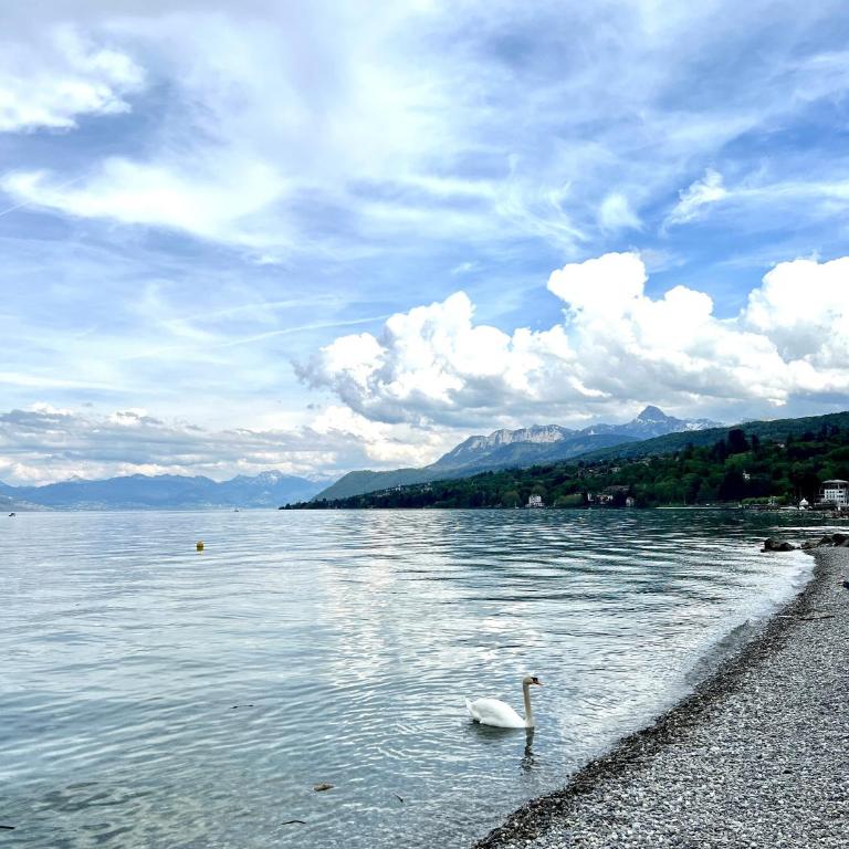 Chalet Mouflon - Vue lac imprenable - Chalet de 3 dormitorios - 23