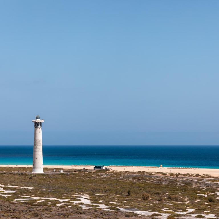 Palm Garden with sea views to the beach, pools - Apartamento Superior de 1 dormitorio con balcón - 22