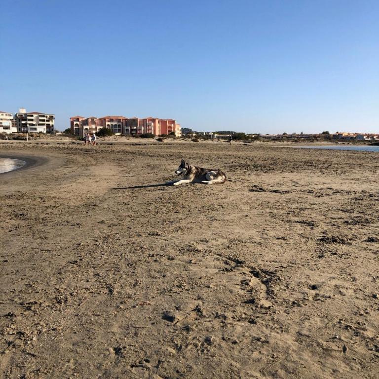 Villa les Lavandines, Le Cap d'agde - Villa am Strand - 31