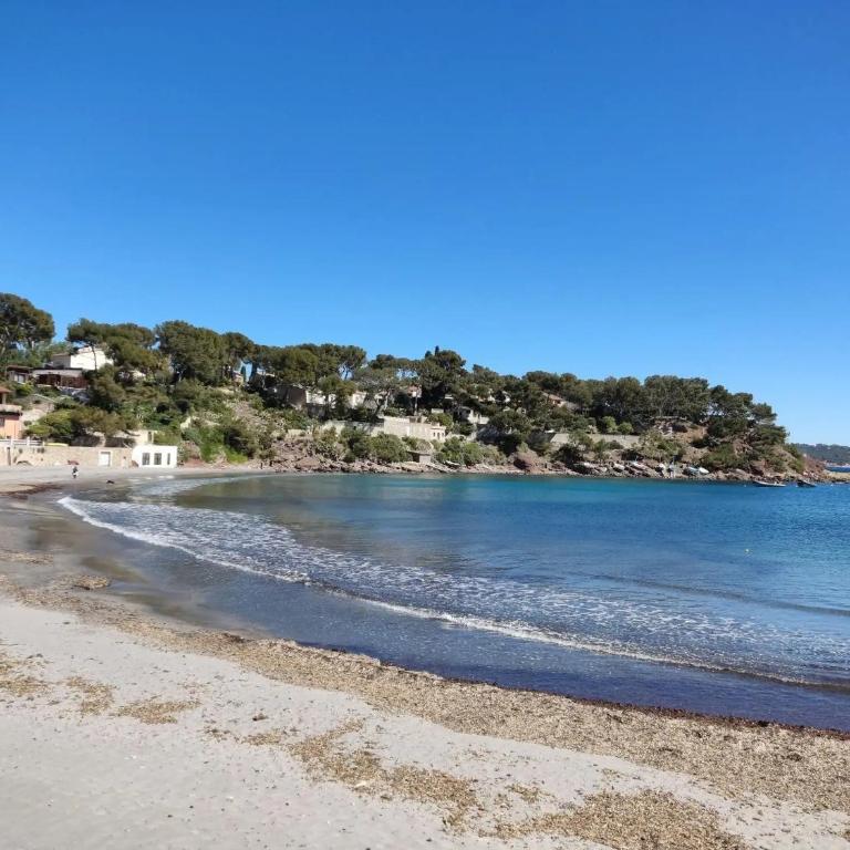 100 m de la plage, rez-de-jardin - Studio avec Terrasse - 19