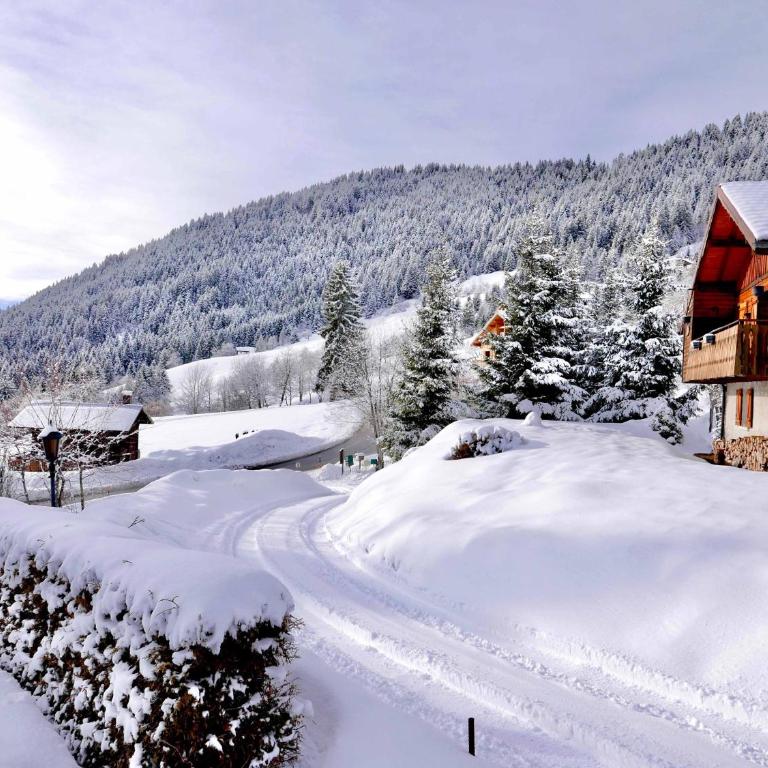 Chalet L'oréade - Chalet - 23