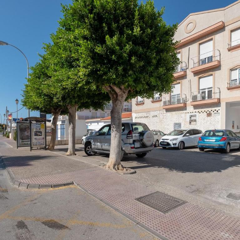 Apartamento Luz - Apartamento Superior de 1 dormitorio con balcón - 22