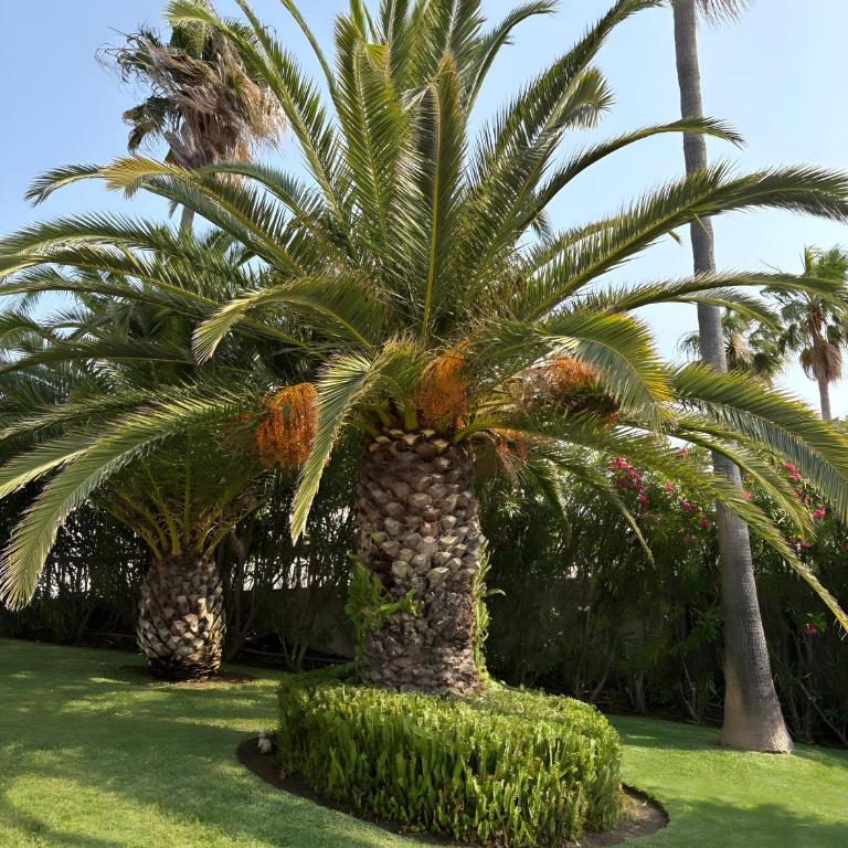 Villa with separate apartment - Villa con vistas al mar - 37