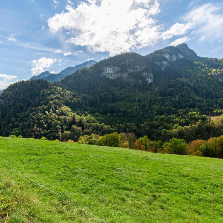 Quiet and Authentic Mountain Chalet - Maison 3 Chambres - 20