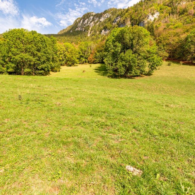 Quiet and Authentic Mountain Chalet - Maison 3 Chambres - 26