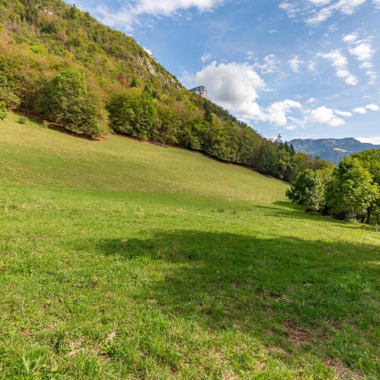 Quiet and Authentic Mountain Chalet - Maison 3 Chambres - 21