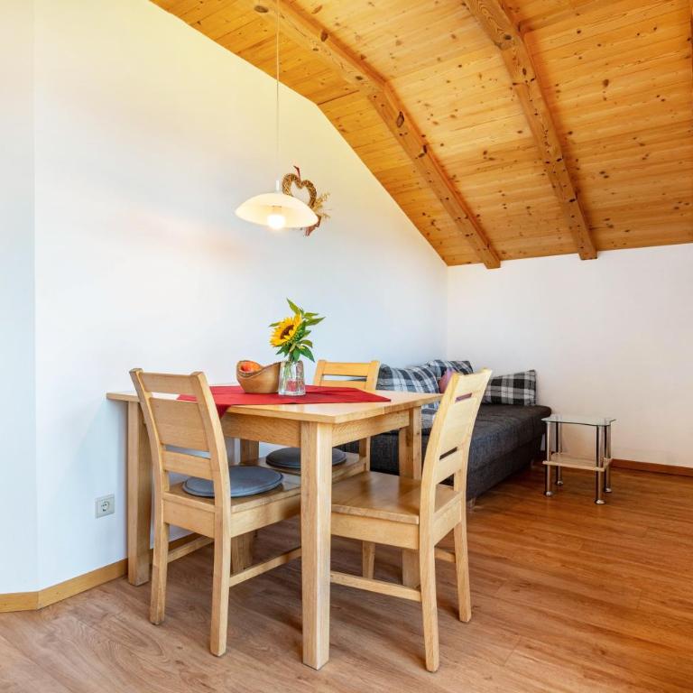 Mongaduierhof Apt Tschafon - Appartamento Superior con 1 Camera da Letto e Balcone - 7