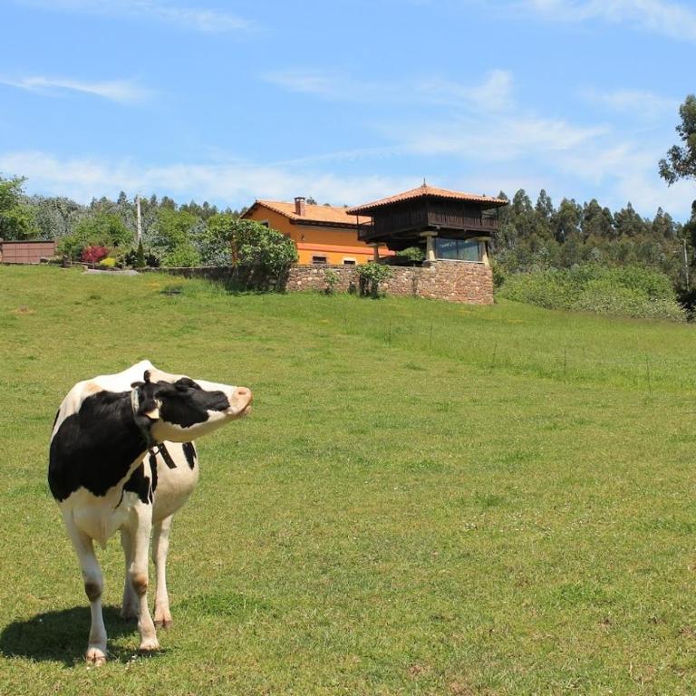 Casa Jesusa - Apartamento de 3 dormitorios con vistas a las montañas - 30