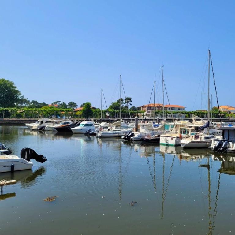 Sabord - Charmant studio au port de Capbreton - Studio Apartment - 11