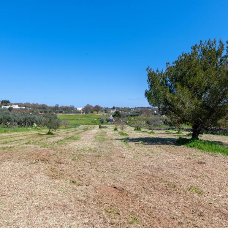 Trullo Caliandro - Casa con 2 Camere da Letto - 31