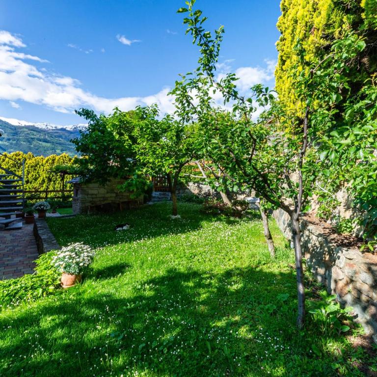 Casa Margherita - Appartamento con 1 Camera da Letto e con Giardino - 25