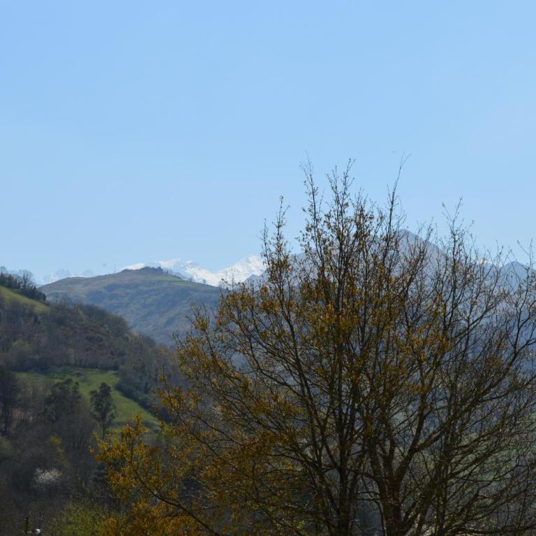 Aldea De Con - Cangas - Quadruple Room with Shower - 24