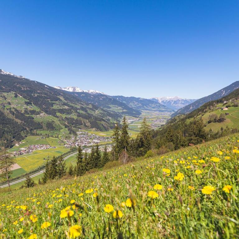 Ferienwohnung Persal - Deluxe-Apartment mit 2 Schlafzimmern und Gartenblick - 25