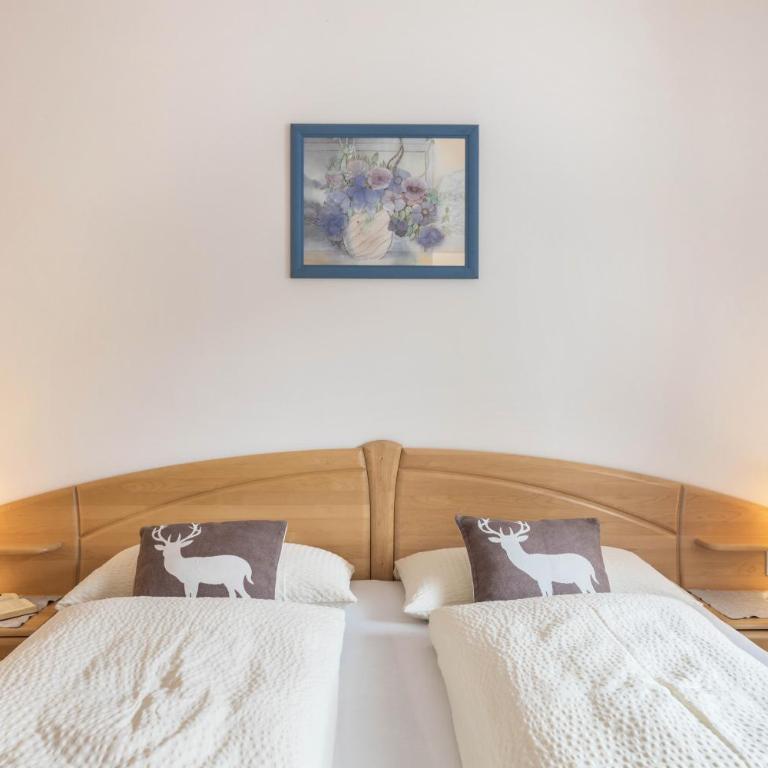 Haus Belodei - Apt A - Appartamento con 1 Camera da Letto e Vista Giardino - 9