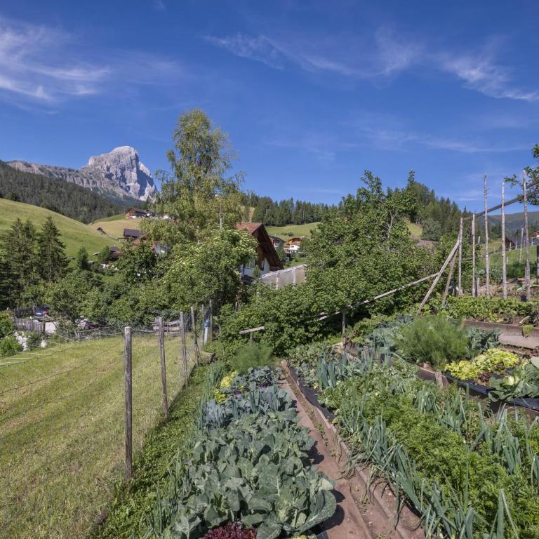 Haus Belodei - Apt A - Appartamento con 1 Camera da Letto e Vista Giardino - 16