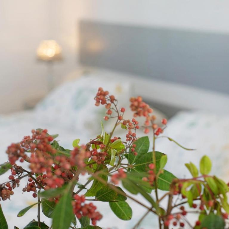 Casa Adriana - Apartamento de 1 dormitorio con jardín - 15