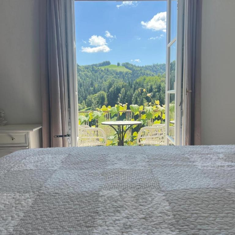 Weingut Kleinmonte - Apartamento Superior de 1 dormitorio con balcón - 2