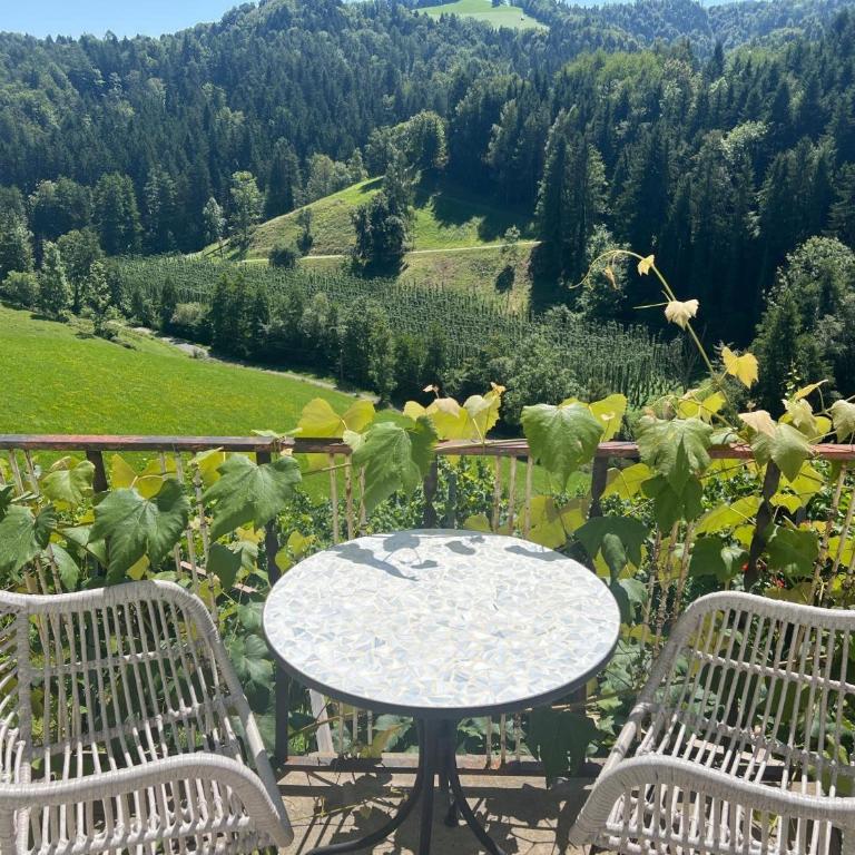 Weingut Kleinmonte - Apartamento Superior de 1 dormitorio con balcón - 3