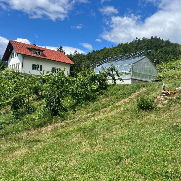 Weingut Kleinmonte - Apartamento Superior de 1 dormitorio con balcón - 4