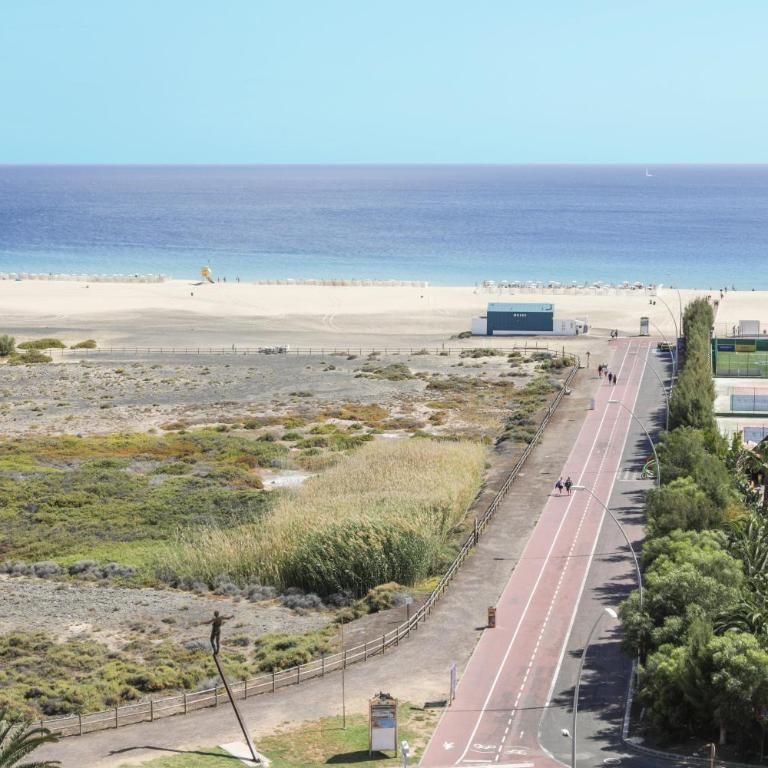 Palm Garden with sea views to the pools and beach - Apartamento Superior de 1 dormitorio con balcón - 20