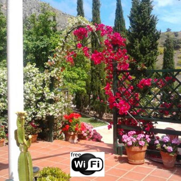 Finca Santa Matilde Málaga - Apartamento Superior con vistas a la ciudad - 44