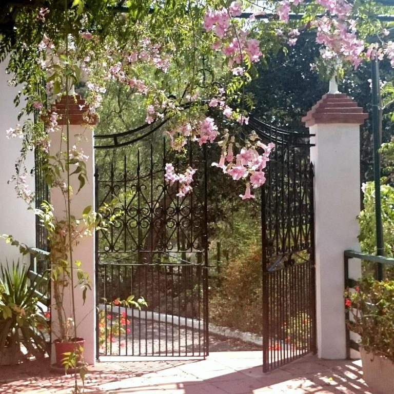 Finca Santa Matilde Málaga - Apartamento Superior con vistas a la ciudad - 4