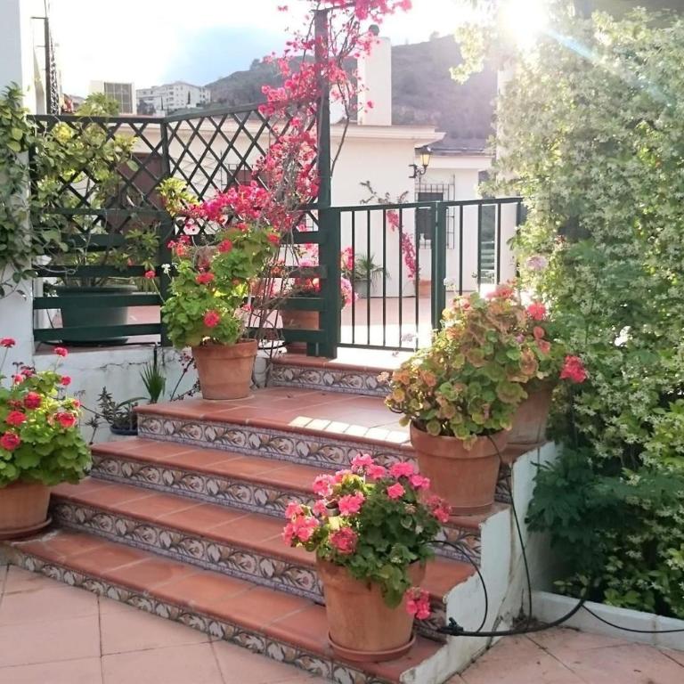 Finca Santa Matilde Málaga - Apartamento Superior con vistas a la ciudad - 7