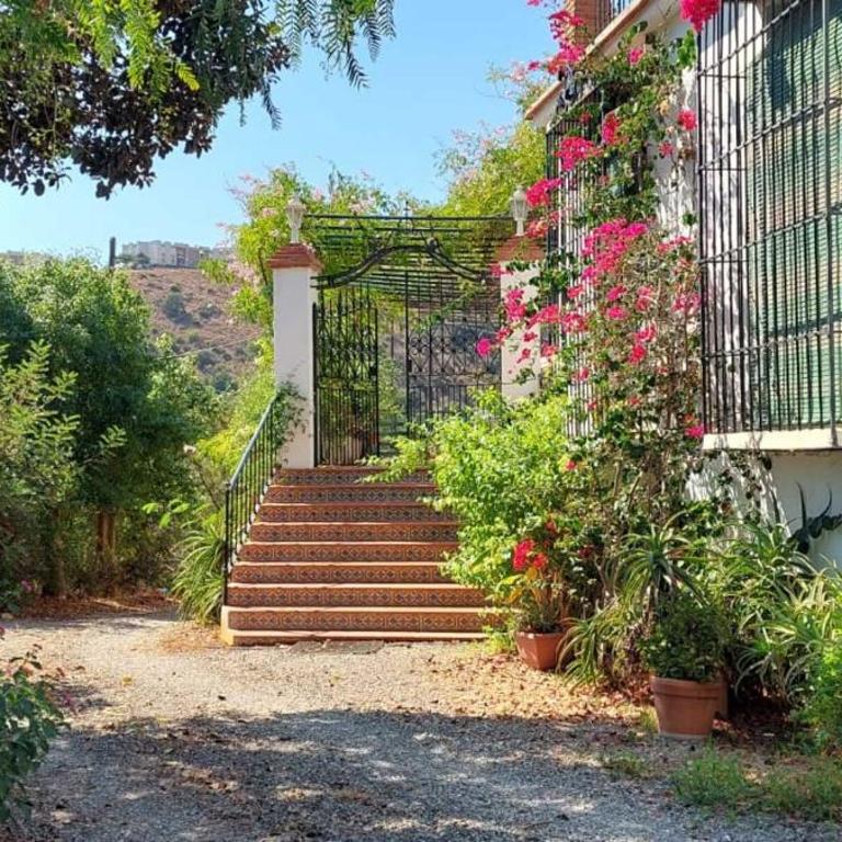 Finca Santa Matilde Málaga - Apartamento Superior con vistas a la ciudad - 5