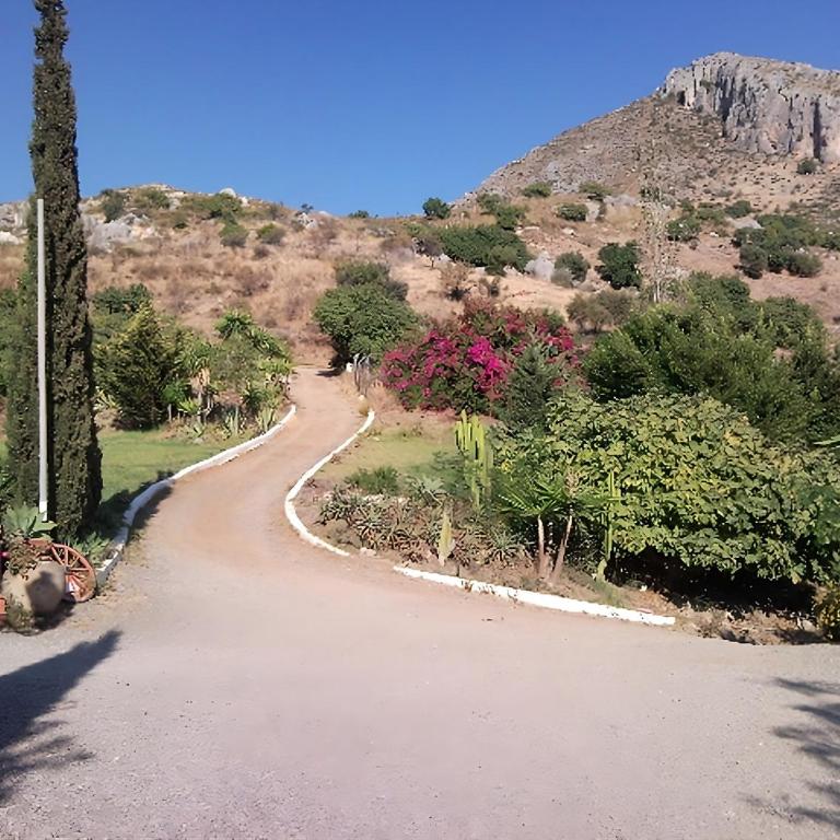 Finca Santa Matilde Málaga - Apartamento Superior con vistas a la ciudad - 39