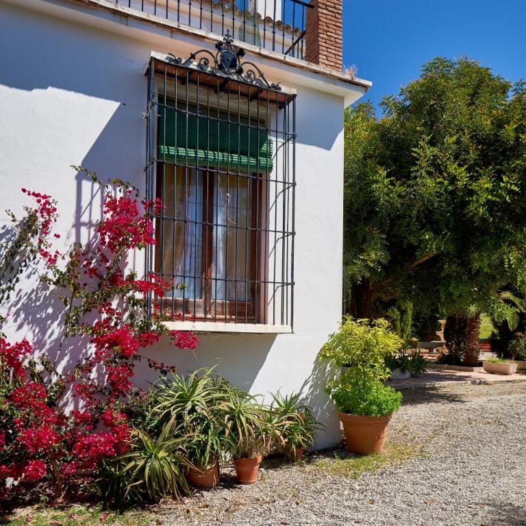 Finca Santa Matilde Málaga - Apartamento Superior con vistas a la ciudad - 6
