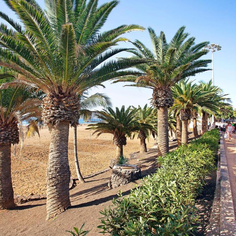 Perla del Playa Grande - Apartamento Deluxe de 2 dormitorios con vistas al mar - 24