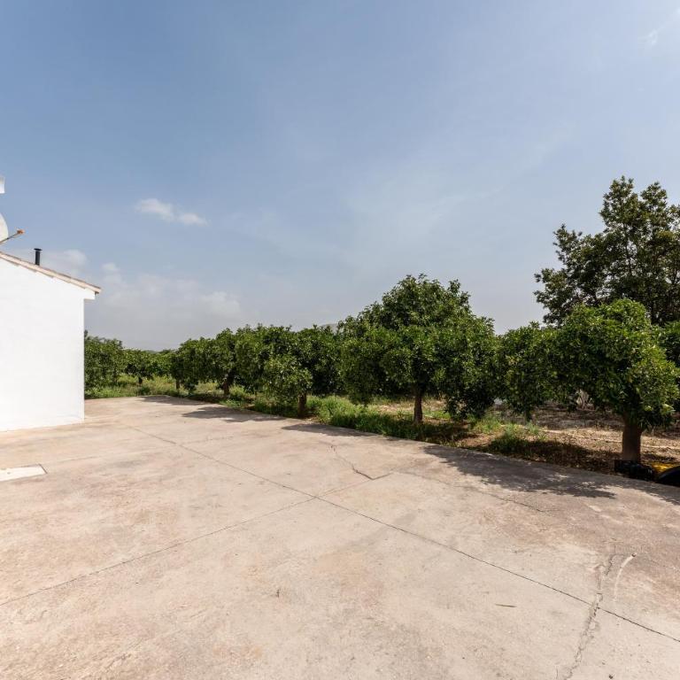 La Casa de los Recuerdos - Apartamento con terraza - 33