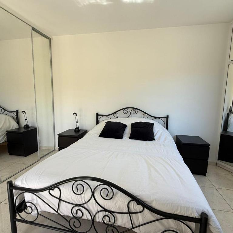 Cannes Centre Grand 3 chambres avec terrasse - Appartement - 13