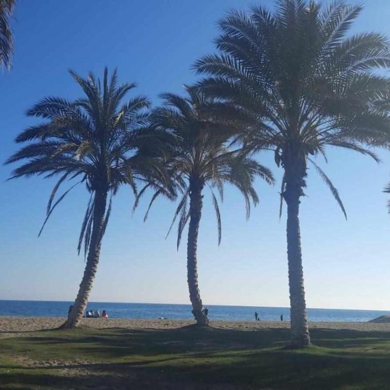 Relax Beach - Apartamento Superior con vistas a la ciudad - 24