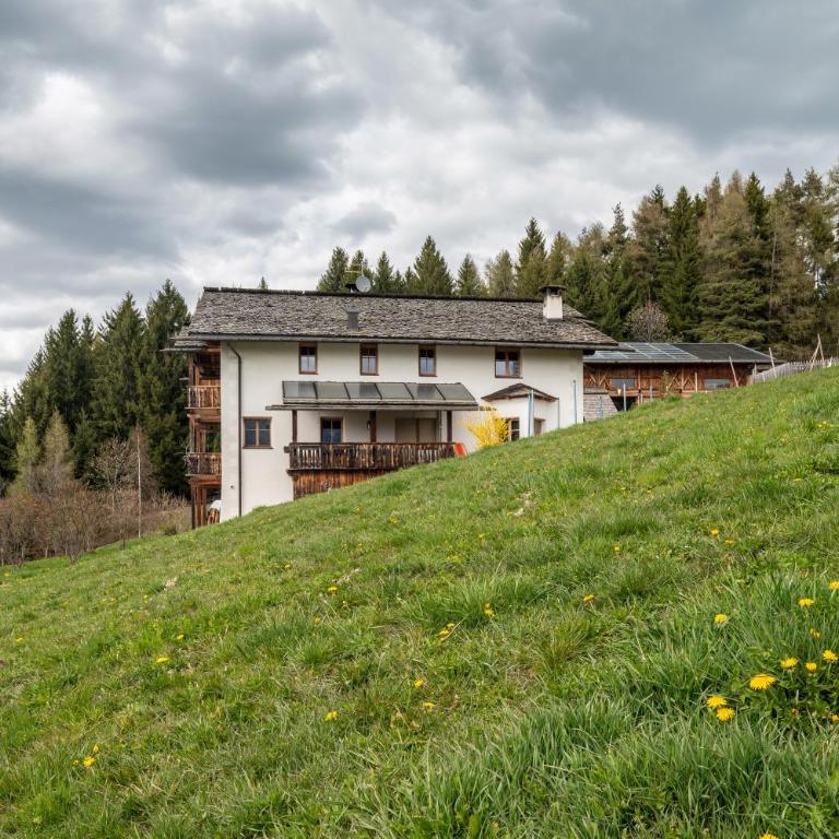 Biohof Maurer Apt Bergblick - Appartamento Superior con 1 Camera da Letto e Balcone - 27