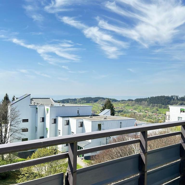 Bayerwaldresort - Appartamento Superior con 1 Camera da Letto e Balcone - 3