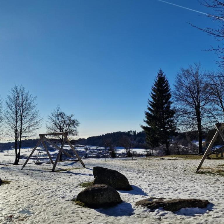 Bayerwaldresort - Appartamento Superior con 1 Camera da Letto e Balcone - 26