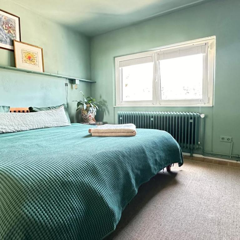 Bayerwaldresort - Appartamento Superior con 1 Camera da Letto e Balcone - 12