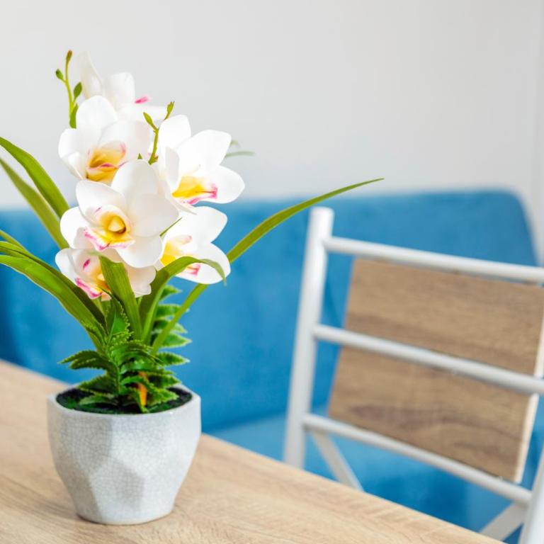 Good Vibes Home - Appartamento Superior con 1 Camera da Letto e Balcone - 18