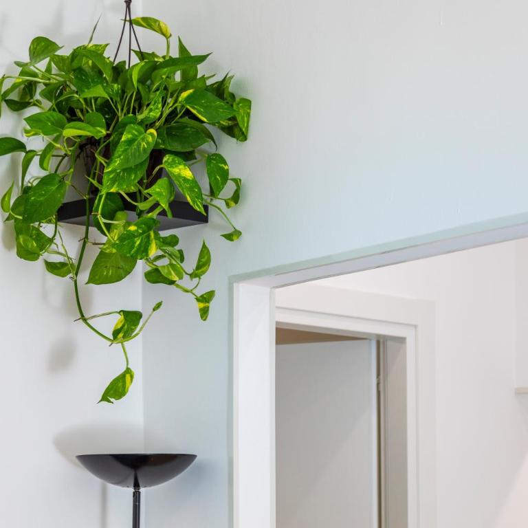 Good Vibes Home - Appartamento Superior con 1 Camera da Letto e Balcone - 8
