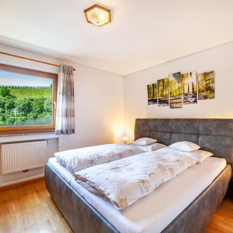 Ferienwohnung Sonnegg - Appartamento Deluxe con 2 Camere da Letto e Vista Giardino - 22
