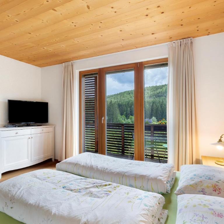 Silbernagl - Monolokal mit Ausblick - Monolocale con Terrazza - 5