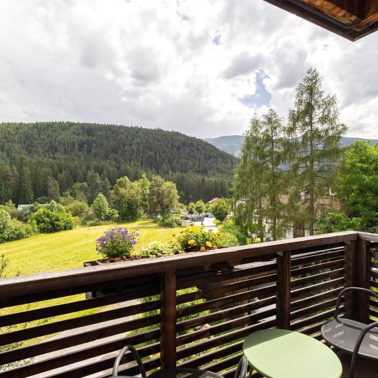 Silbernagl - Monolokal mit Ausblick - Monolocale con Terrazza - 6