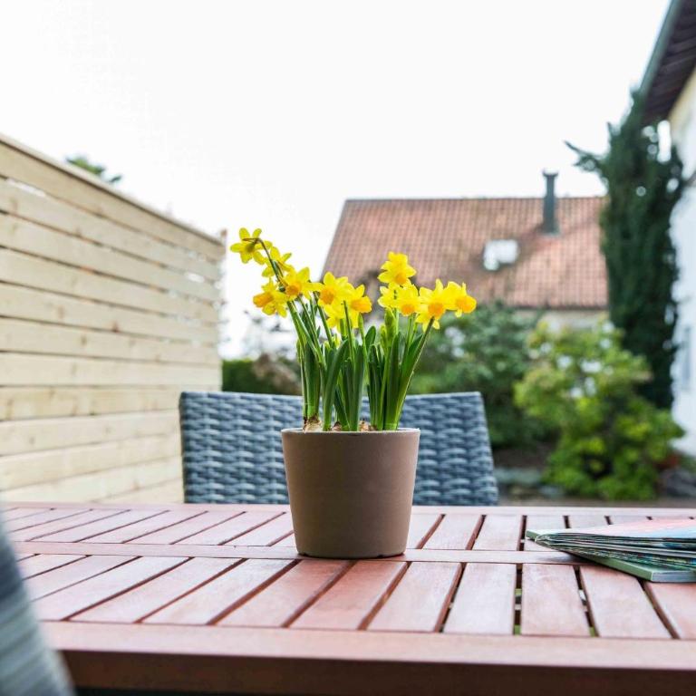 Ferienwohnung Am Alpenblick - One-Bedroom Apartment with Garden View - 8
