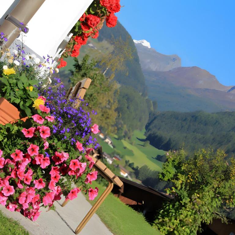 Appartements Obermairhof - Superior One-Bedroom Apartment with Balcony - 2