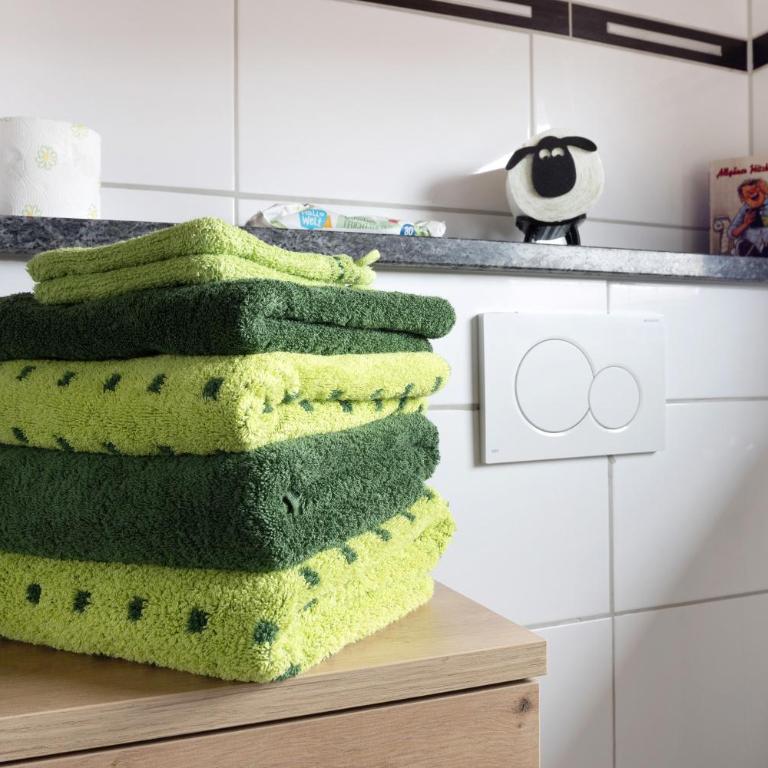 Ferienwohnung Wendelinus - Studio mit Bergblick - 14