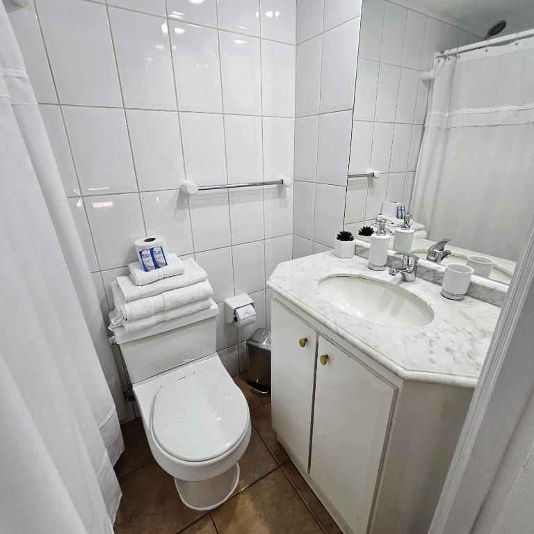 Apartamento en stgo 20 - One-Bedroom Apartment - 6